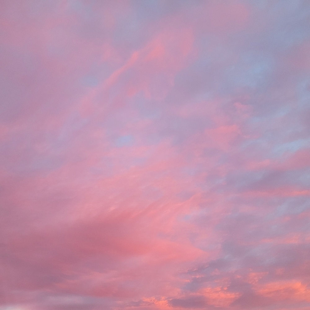 🩷🖤SILENT SHOW🖤🩷  DO NOT BUY!!